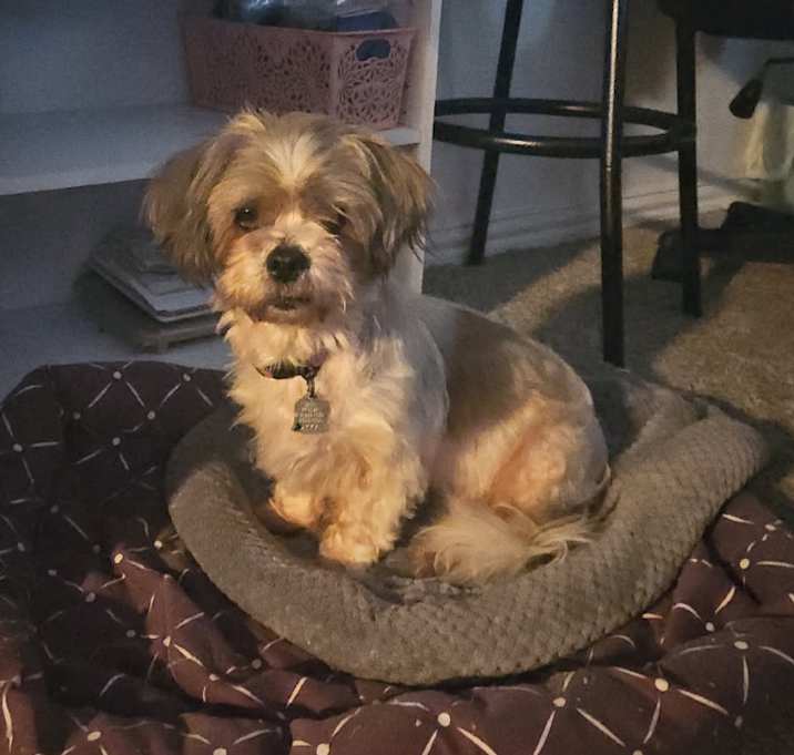 Photo of Rosie Cherry (Dallas)