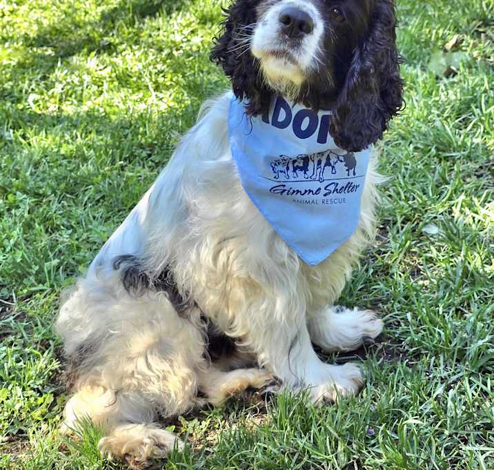 Photo of Holly