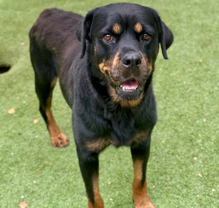 Photo of Jodi(Mall Of NH)