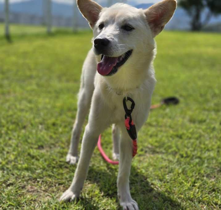 Photo of Rosa