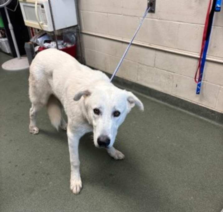 Photo of Jonathon (In Foster)