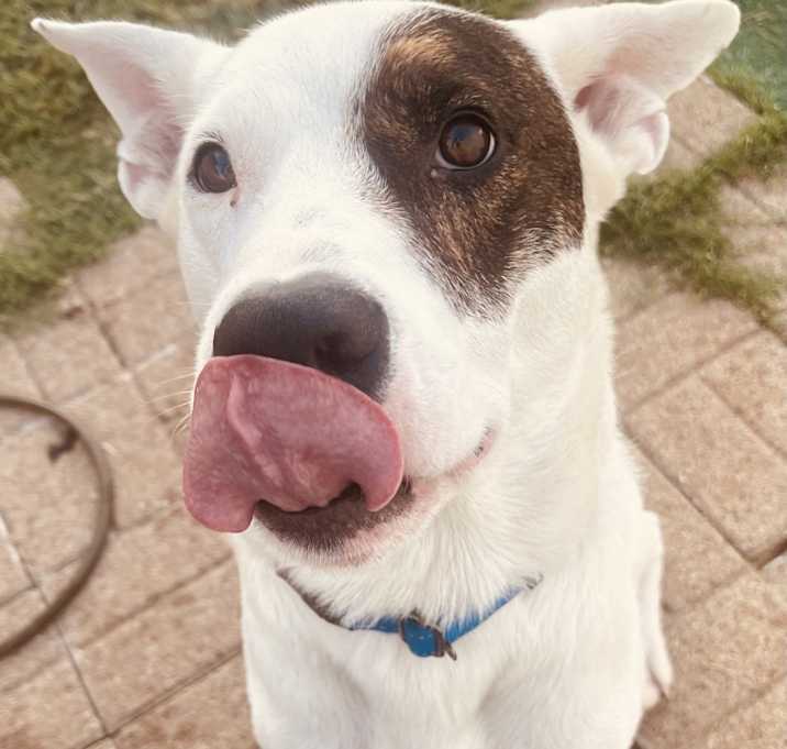 Photo of Murphy