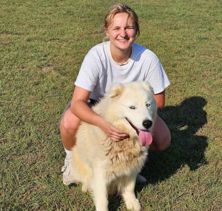 Photo of Bear