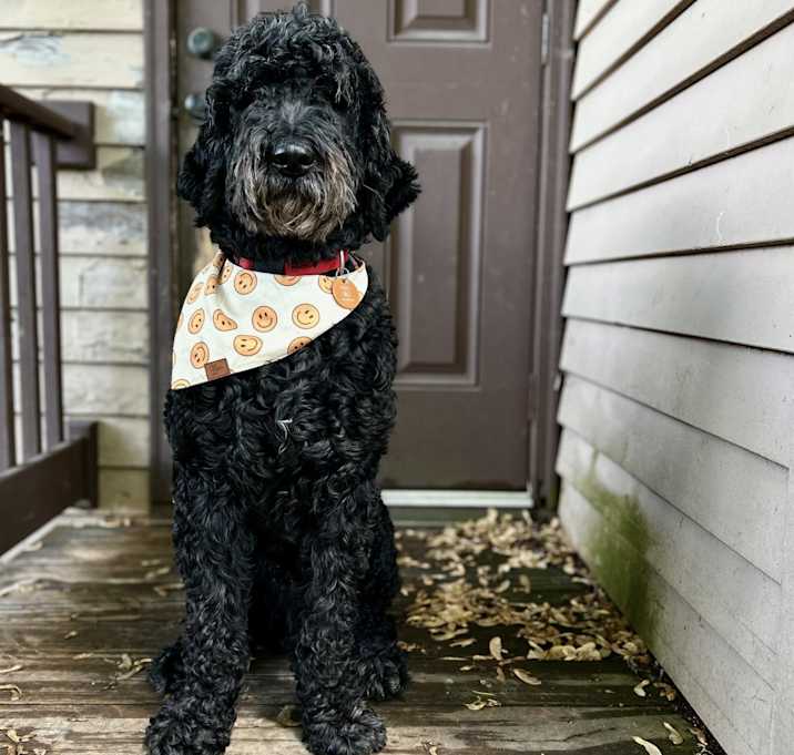 Photo of Willie