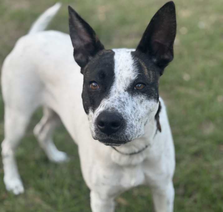 Photo of Tallie