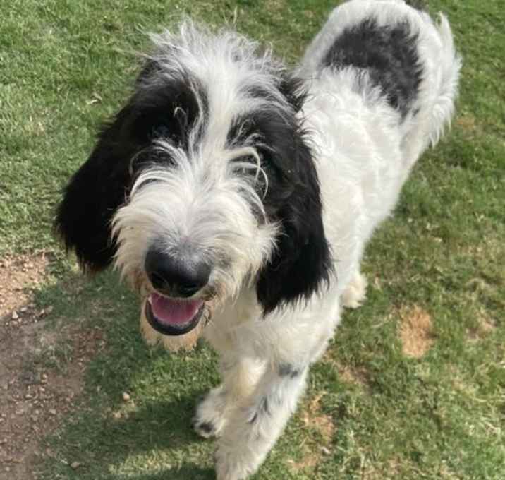 Photo of Tilly