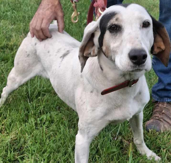 Photo of Patch-sponsored!