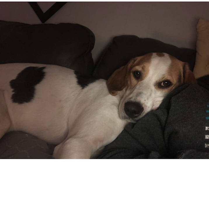 Photo of Ella Mae
