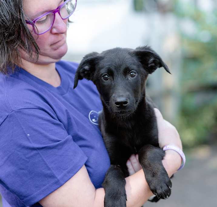 Photo of Ross (fka Kovu)