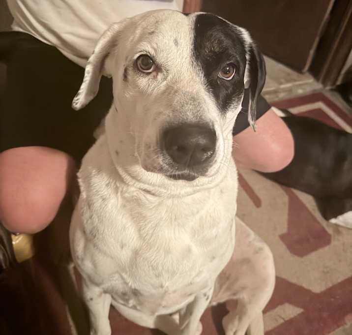 Photo of Sadie Sue