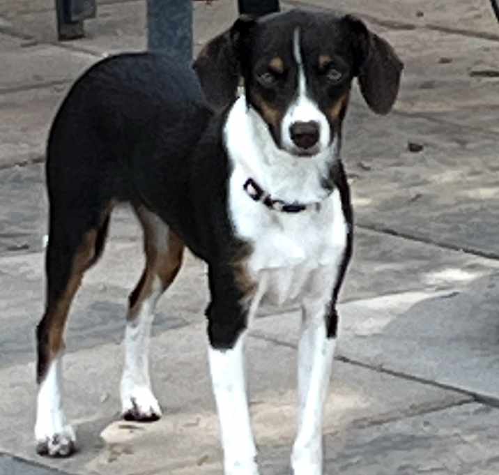Photo of Cassie