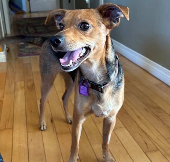 Photo of Winnie
