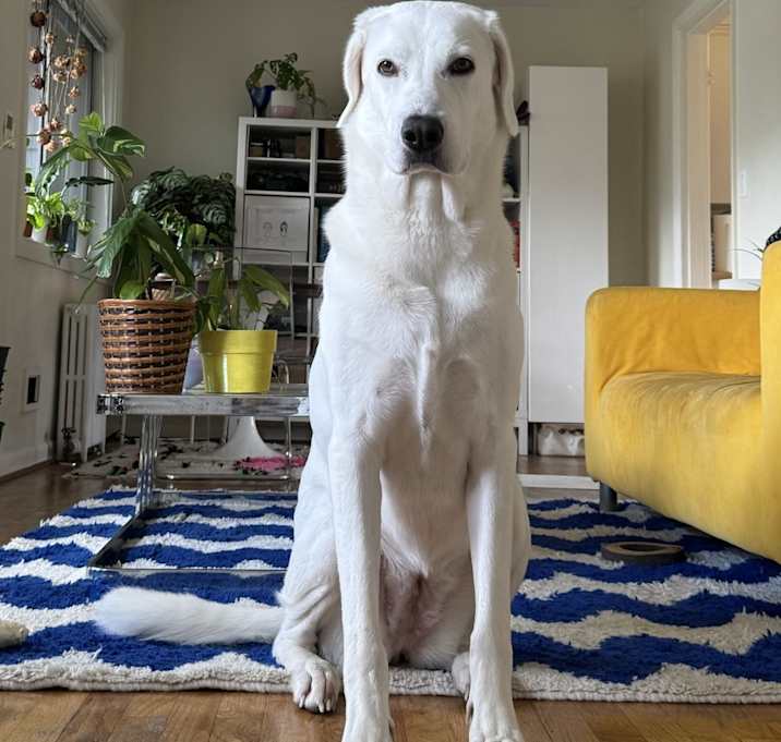 Photo of Ayla