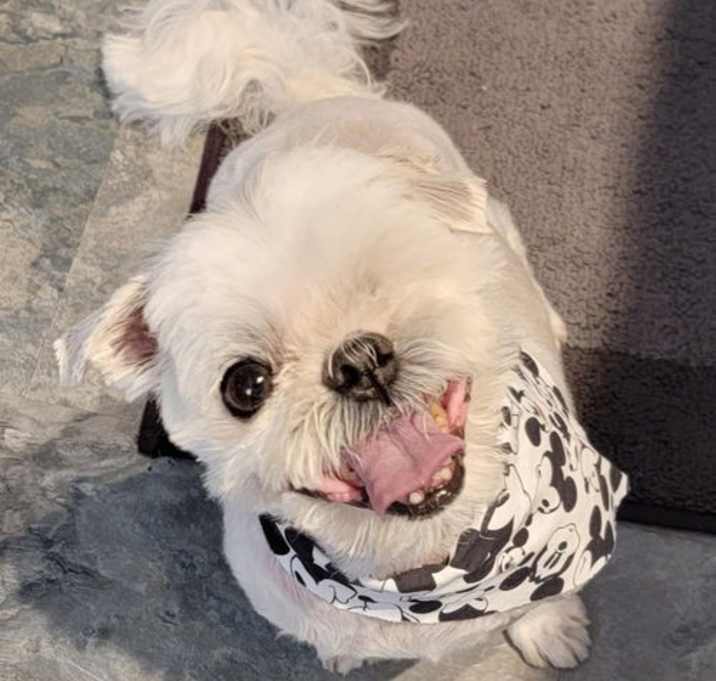 Photo of George