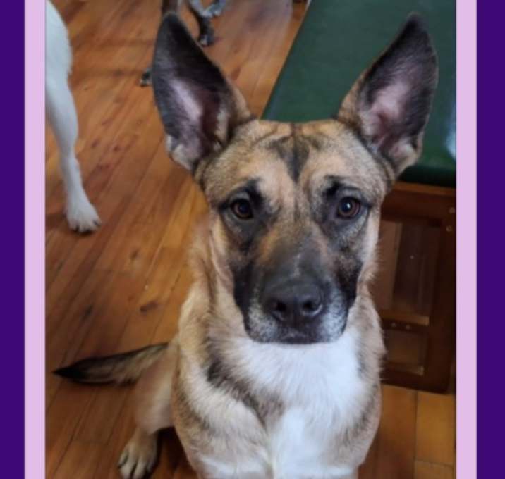 Photo of CLARA BELLE