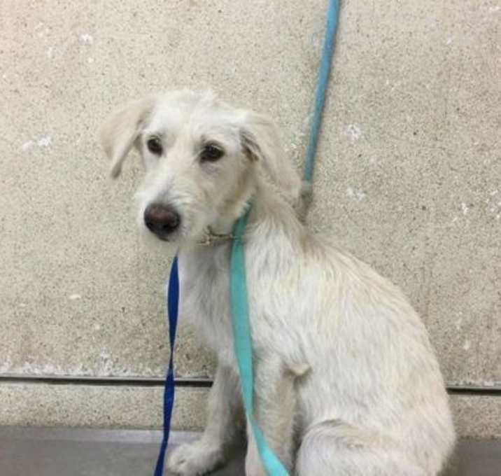 Photo of DoodleBop