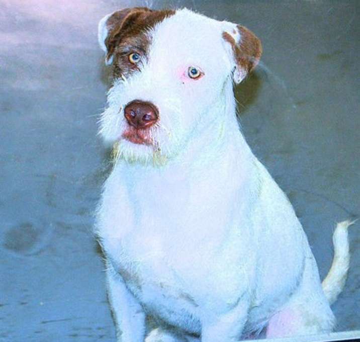 Photo of CASPER