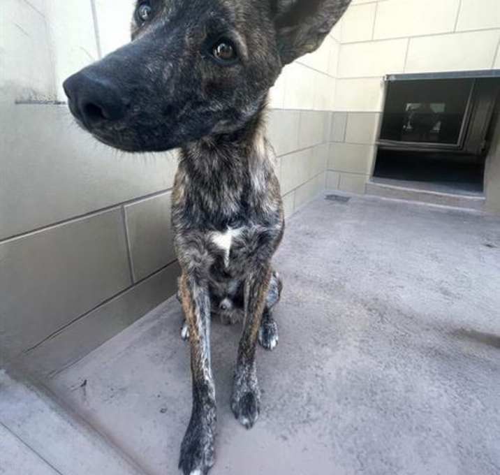 Photo of TUCKER