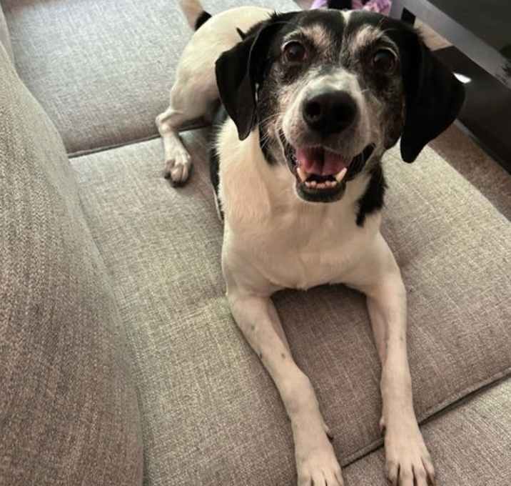 Photo of Sadie