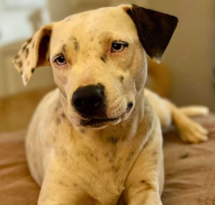 Photo of Betty