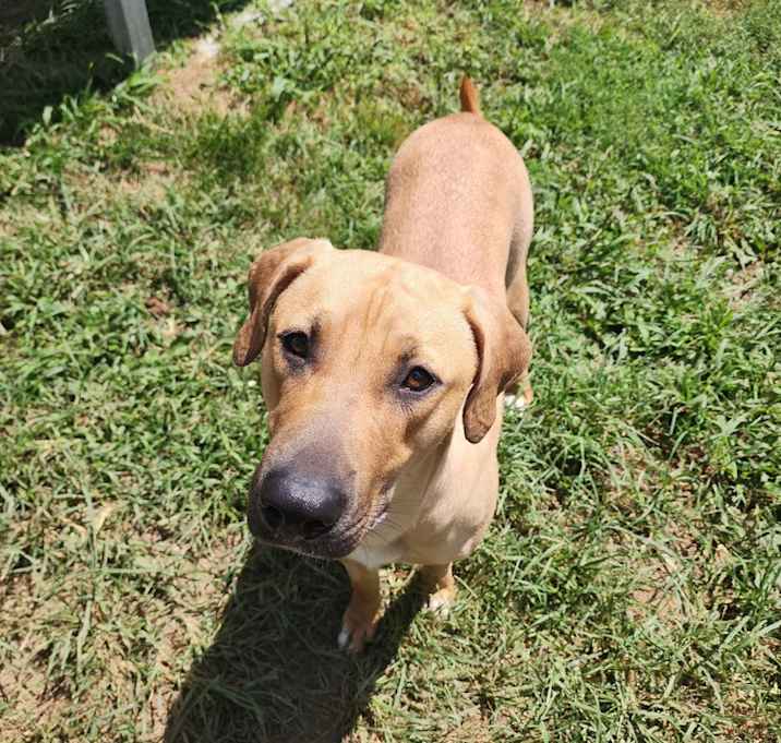 Photo of Jasmine Faye