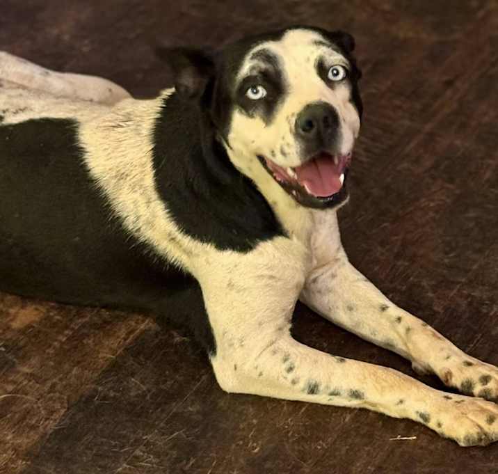 Photo of Wilma