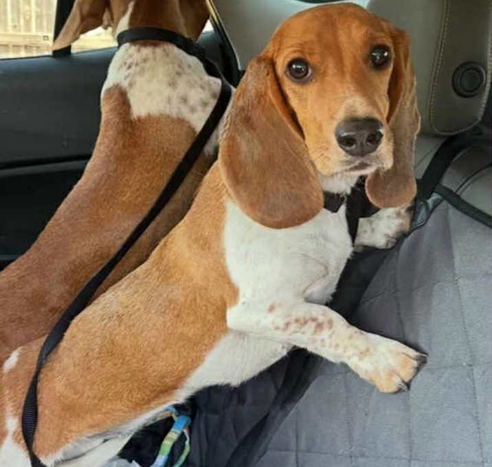 Photo of Thelma