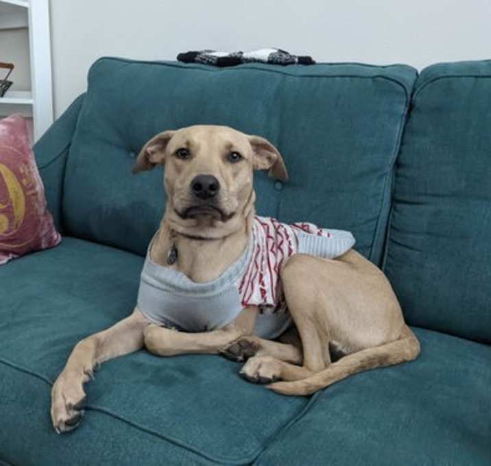 Photo of Luna XXIII (New Digs)