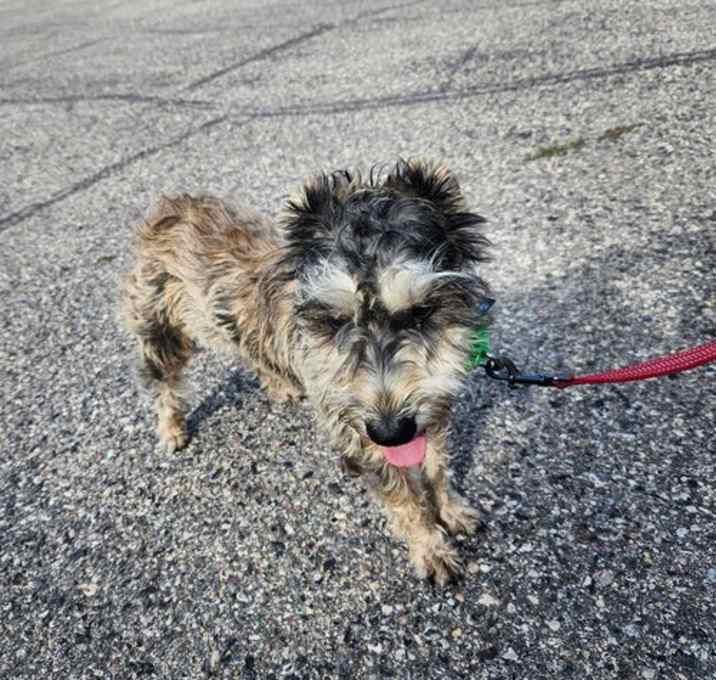 Photo of Jelly Roll