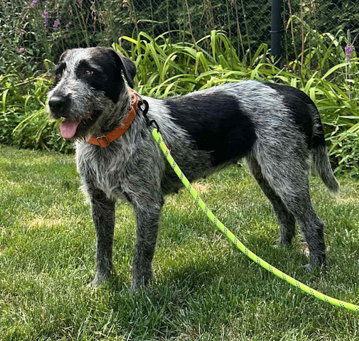 Photo of Calypso Henson