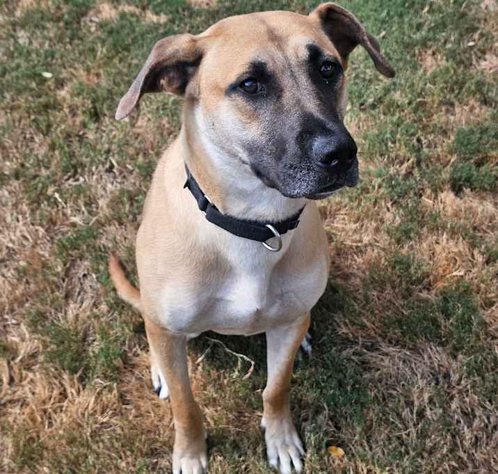 Photo of Jax