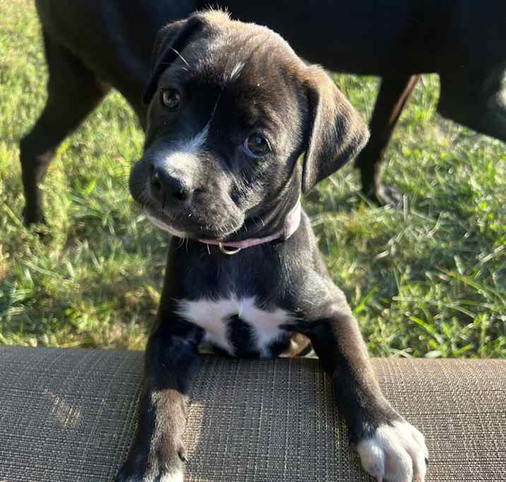 Photo of Evie