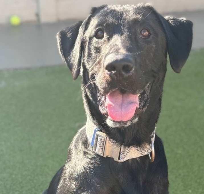 Photo of Zeus