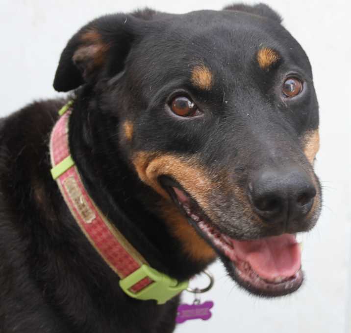 Photo of PHOENIX