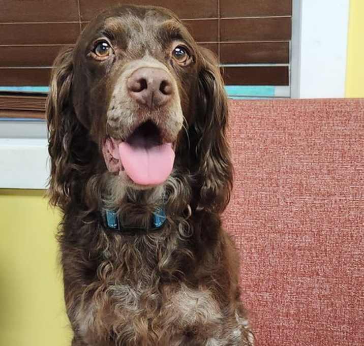 Photo of SC/Smokey
