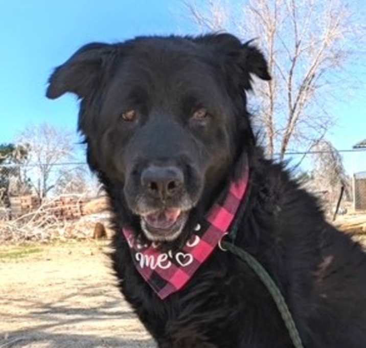 Photo of BOBO