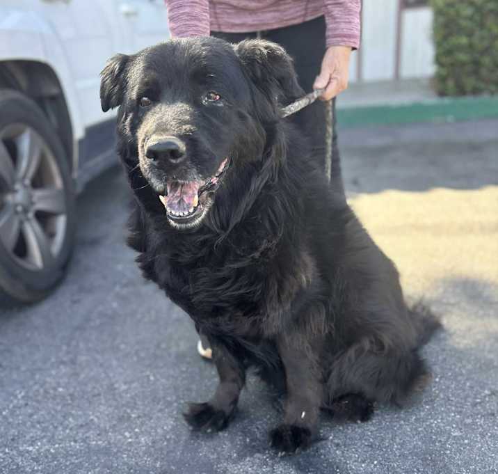 Photo of BOBO