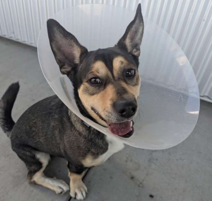 Photo of Bruno