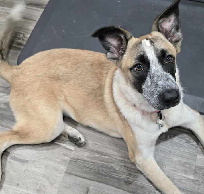 Photo of Gretel JuM/JA