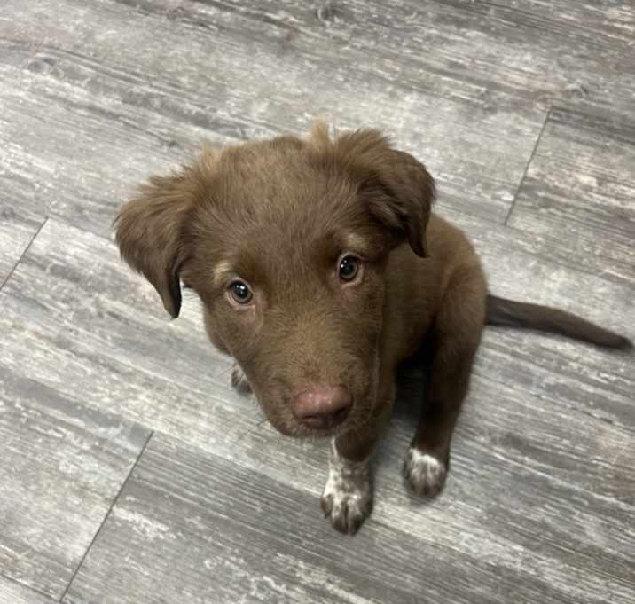 Photo of Ophelia