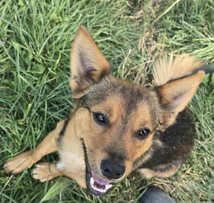 Photo of Bruno