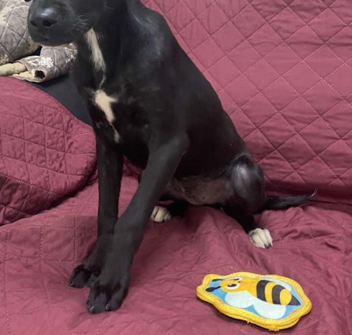 Photo of Mika