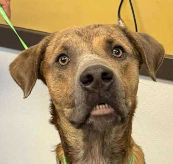 Photo of Chase