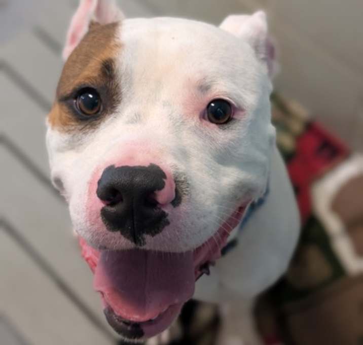 Photo of PEANUT BUTTER