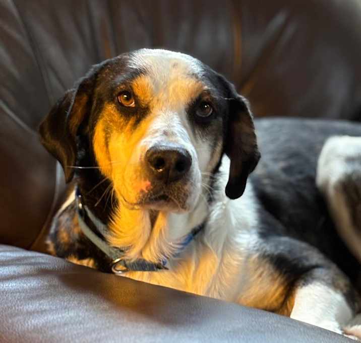 Photo of Sofie