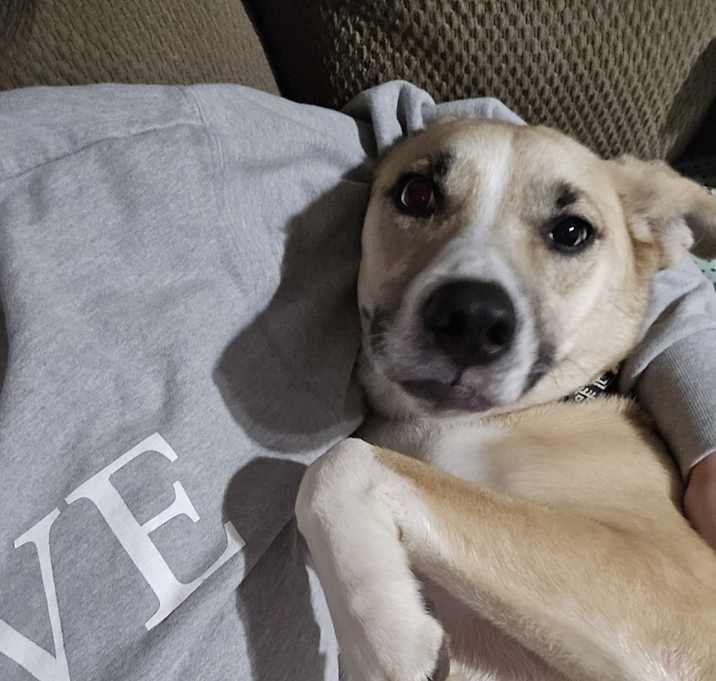 Photo of Sadie