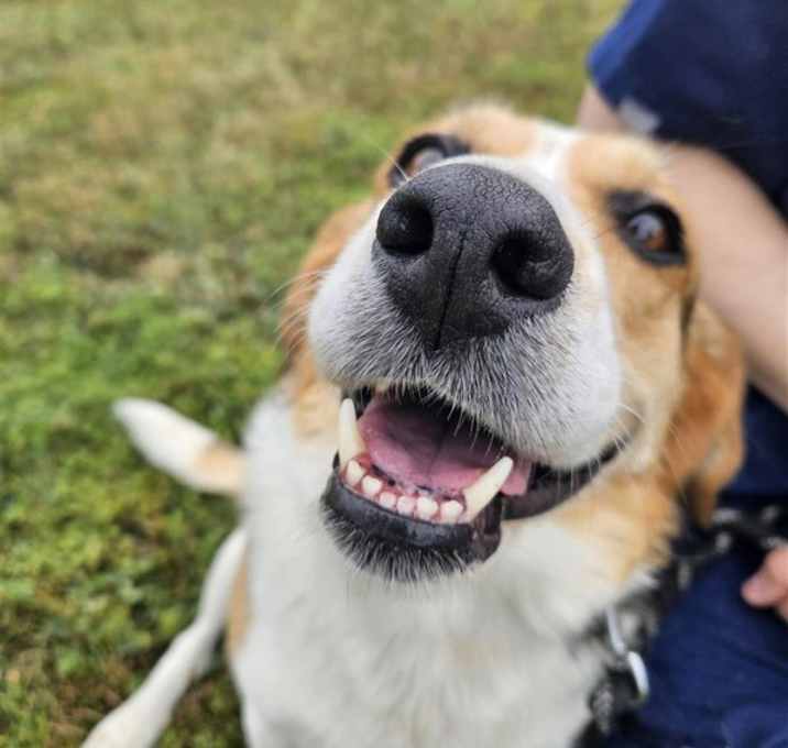 Photo of Daisy