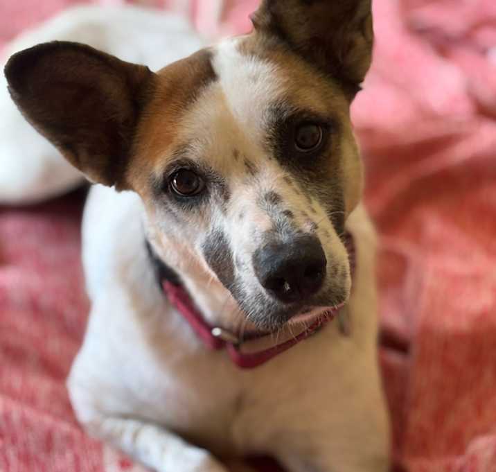 Photo of Millie
