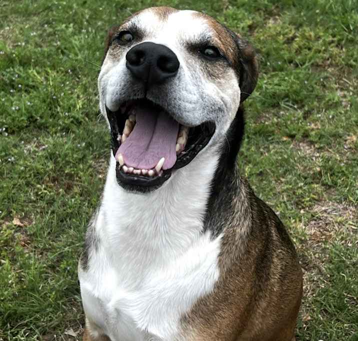 Photo of Duke