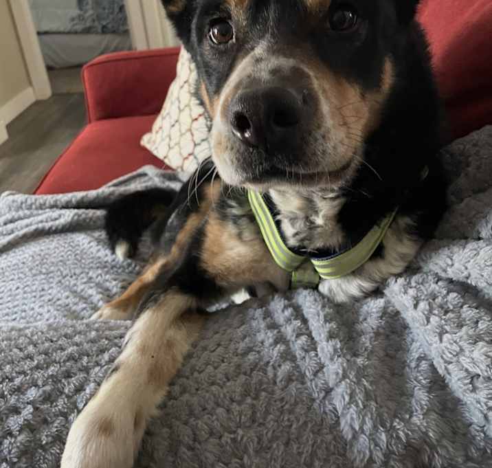 Photo of Cruize